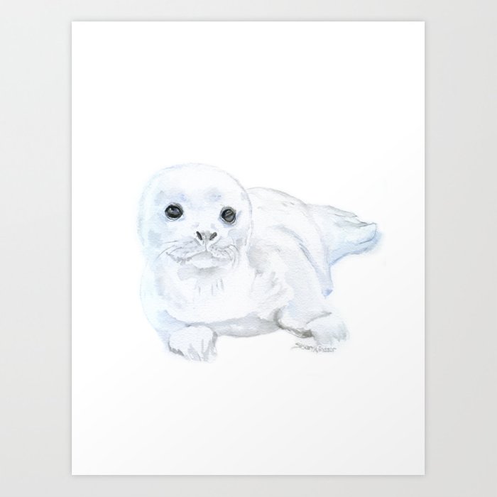 Harp Seal Drawing At Explore Collection Of Harp Seal Drawing