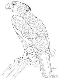 194x259 Harpy Eagle Easy Drawing - Harpy Eagle Drawing