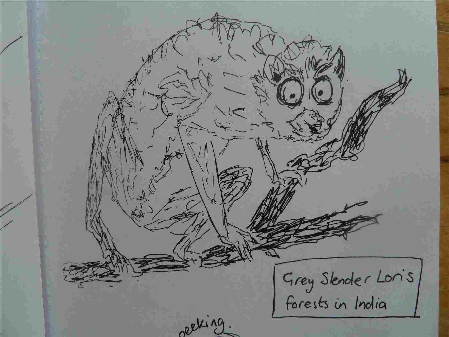 1899x1424 U Maugryphrhmaugryphcom Harry Potter Collage Drawing - Harry Potter Collage Drawing