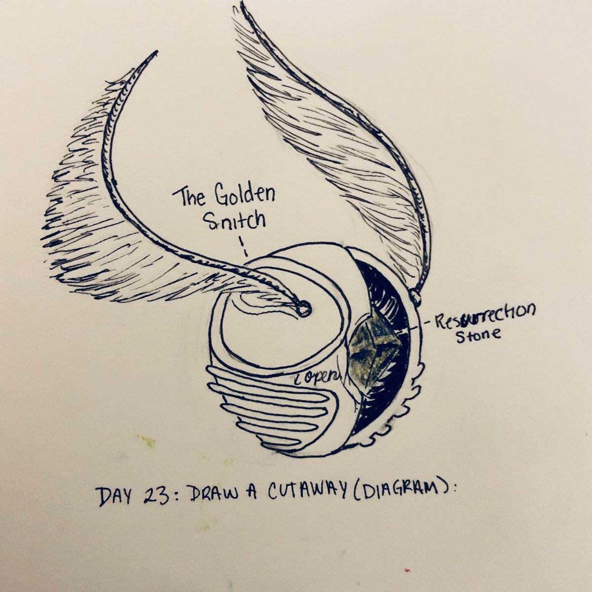 Harry Potter Golden Snitch Drawing at Explore