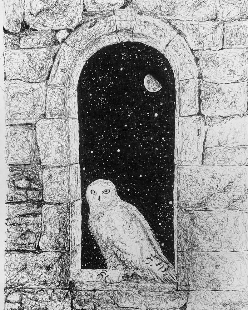 794x992 harry potter hedwig drawing etsy - Harry Potter Hedwig Drawing