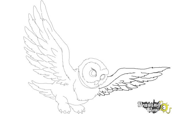 600x400 how to draw hedwig from harry potter - Harry Potter Hedwig Drawing