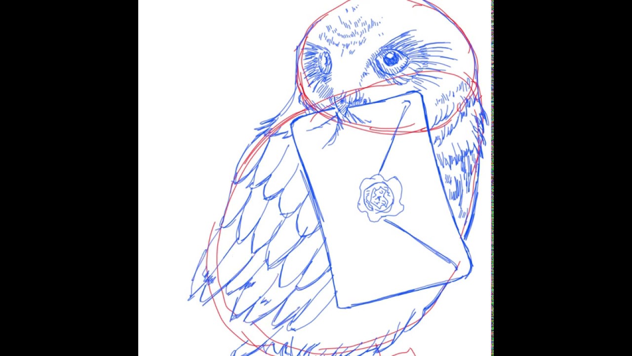 1280x720 how to draw owl from harry potter hedwig - Harry Potter Hedwig Drawing