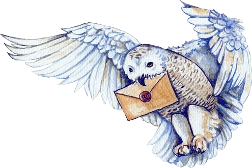 495x331 collection of free hedwig drawing barn owl download on ui ex - Harry Potter Hedwig Drawing