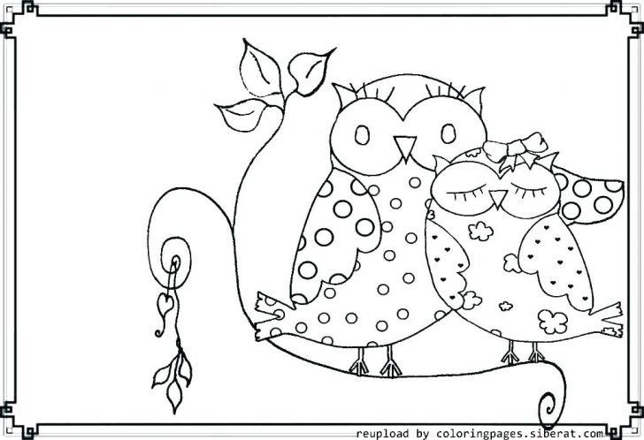 728x498 Harry Potter Owl Colouring Pages Coloring Snowy Free - Harry Potter Owl Drawing
