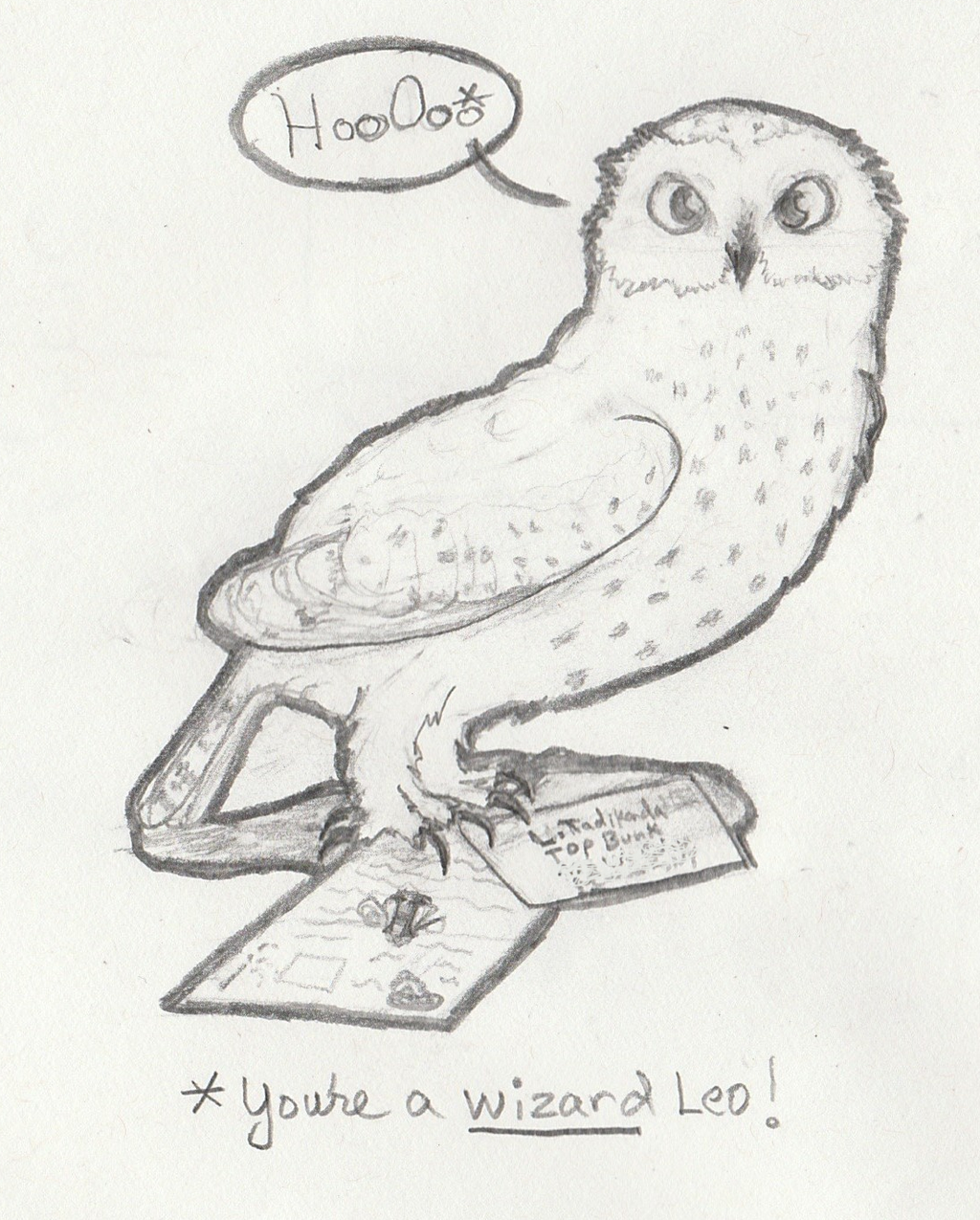 Harry Potter Owl Drawing at PaintingValley.com | Explore collection of