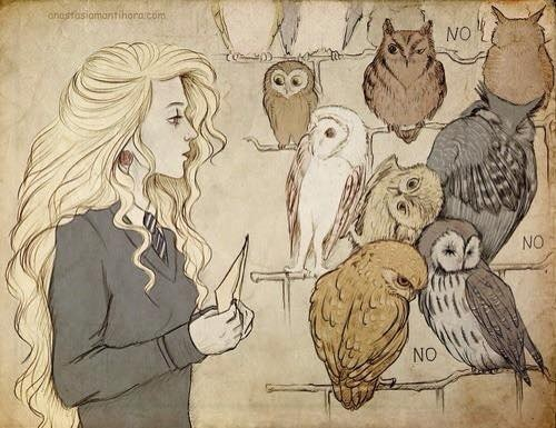 500x385 Image About Draw In Harry Potter - Harry Potter Owl Drawing