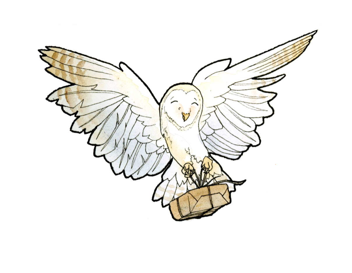 Harry Potter Owl Drawing at Explore collection of