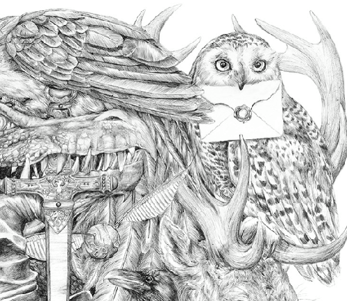 500x434 Potter - Harry Potter Owl Drawing