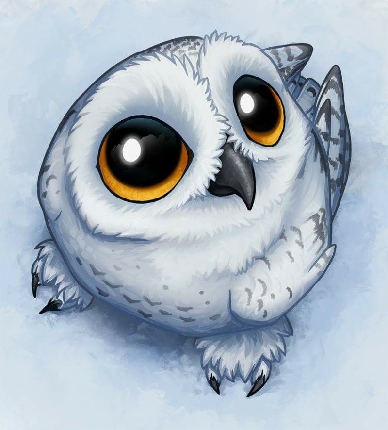 Harry Potter Owl Drawing at PaintingValley.com | Explore collection of ...