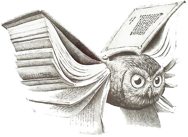 600x438 Bestpicks Large Waterproof Harry Potter Owl Fashion Temporary - Harry Potter Owl Drawing