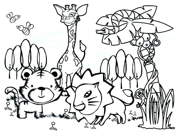 600x452 Cartoon Harry Potter Coloring Pages Owl Drawing At Free - Harry Potter Owl Drawing