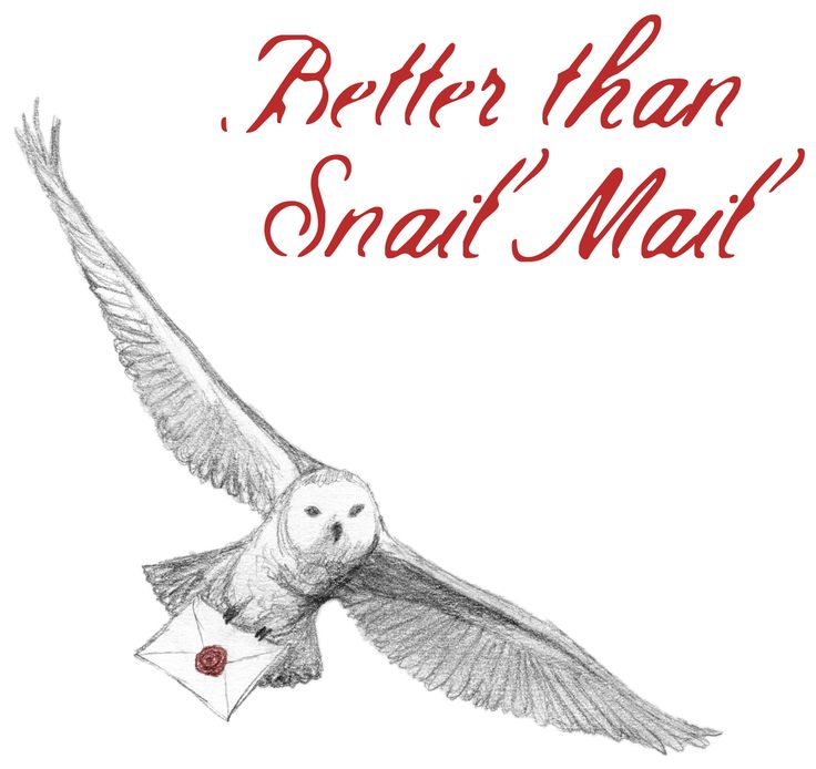 736x694 Clipart Harry Potter Owl Collection - Harry Potter Owl Drawing