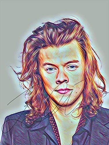 376x500 Harry Styles Drawing Print Poster Hand Drawn Coloured - Harry Styles Drawing
