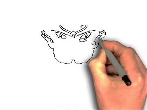 480x360 How To Draw Harry Styles Butterfly Tattoo - Harry Styles Tattoo Drawing