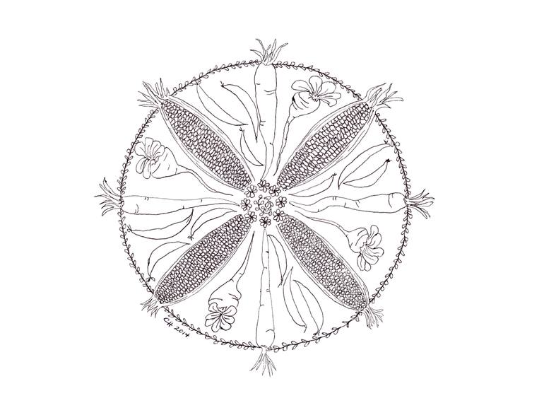 770x570 harvest mandala drawing - Harvest Drawing