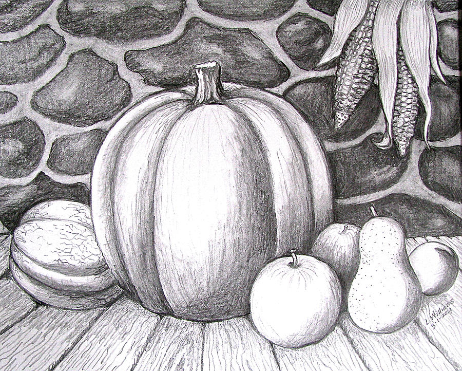 900x722 harvest still life drawing - Harvest Drawing