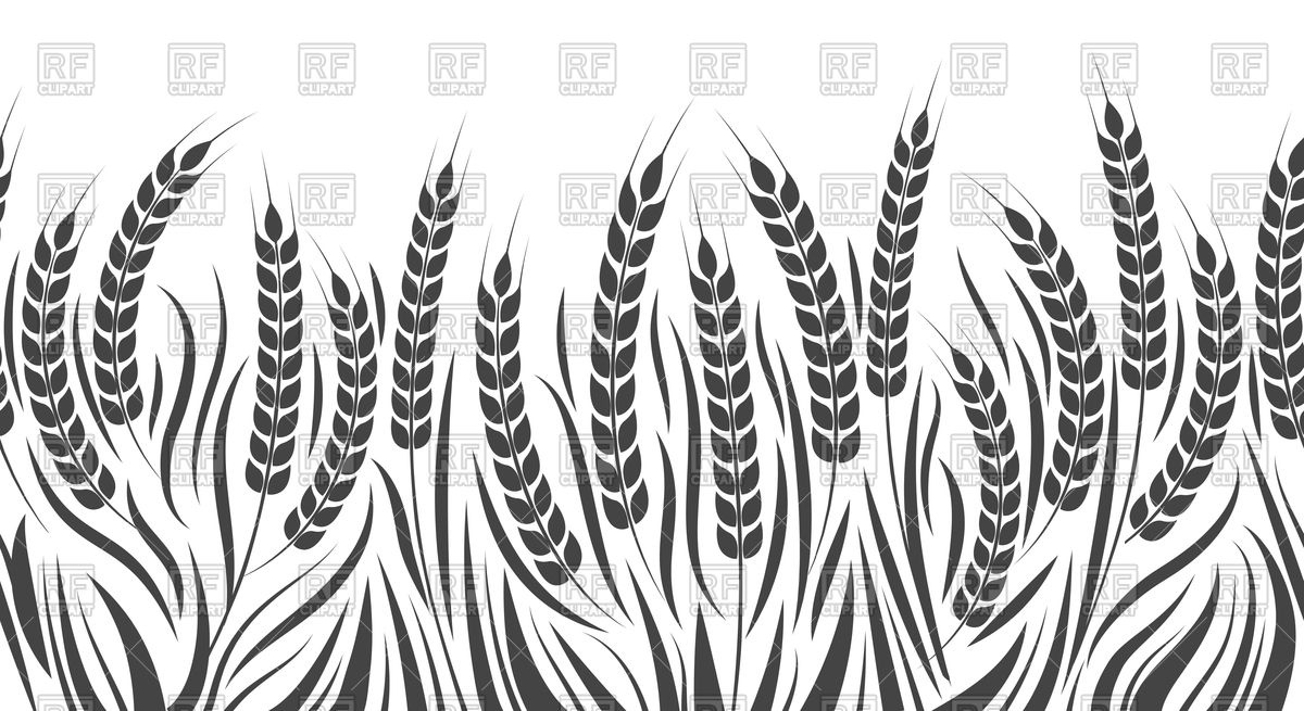 1200x655 harvest horizontal pattern wheat, rye or barley field vector - Harvest Drawing
