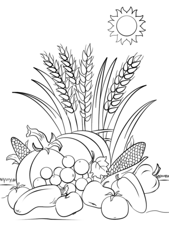340x480 fall harvest coloring - Harvest Drawing