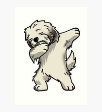 210x230 Havanese Drawing Art Prints Redbubble - Havanese Drawing