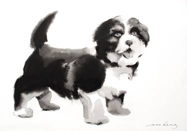 375x262 Havanese Pup Drawing - Havanese Drawing