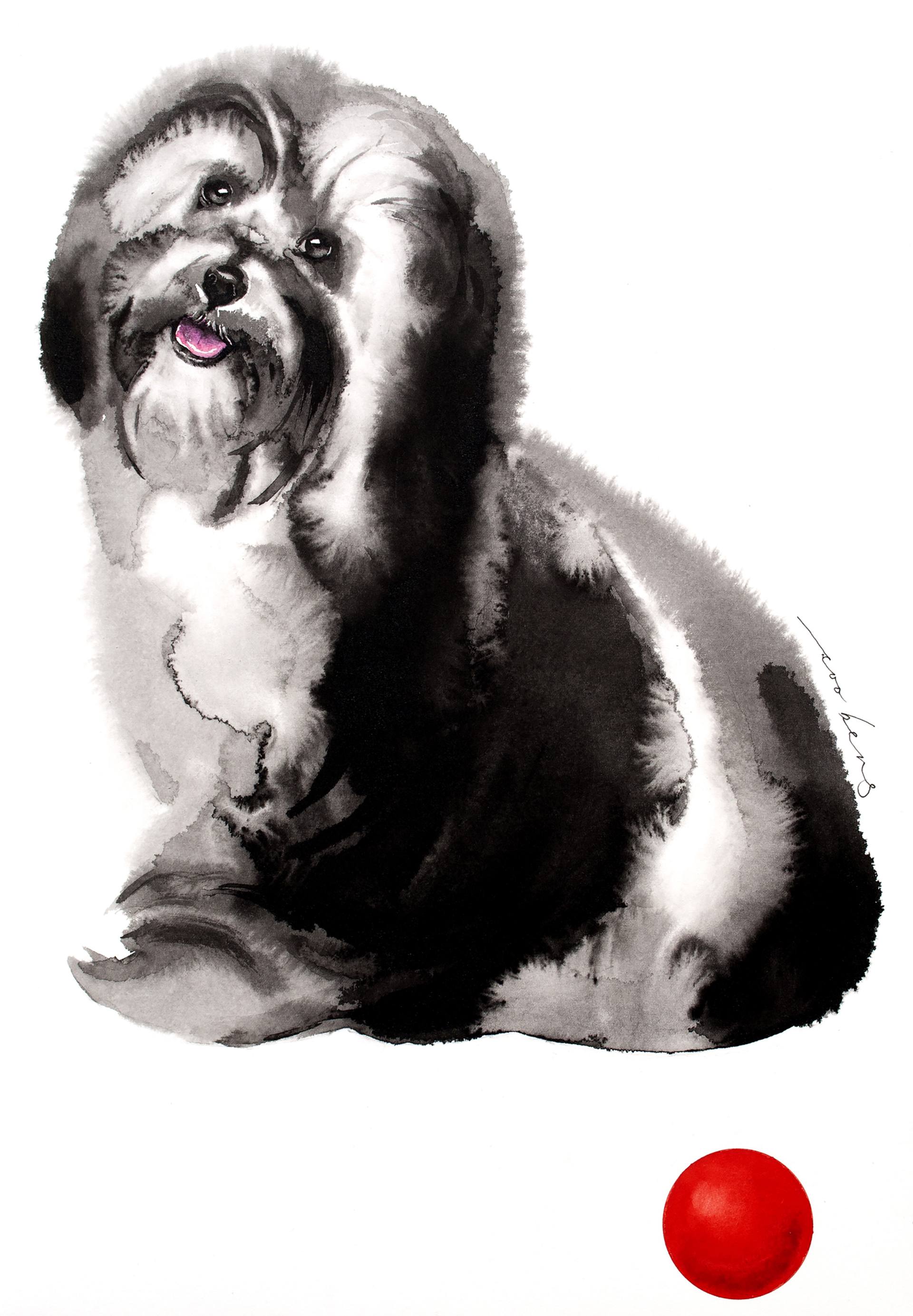 1920x2769 Havanese Drawing - Havanese Drawing