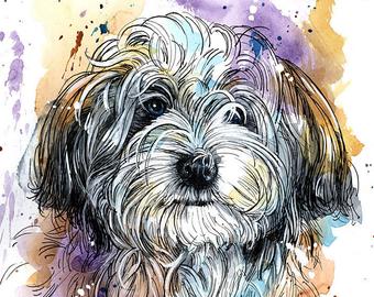 340x270 Havanese Drawing Etsy - Havanese Drawing