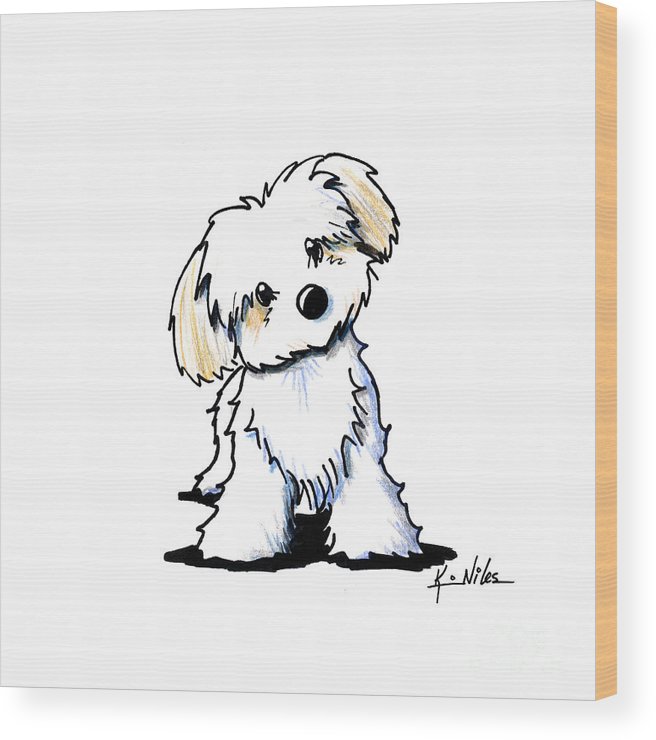 656x740 Quizzical Havanese Wood Print - Havanese Drawing