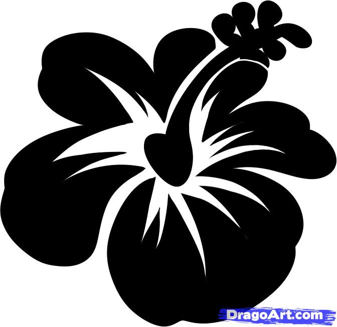 672x652 How To Draw A Hawaiian Flower, Step - Hawaii State Flower Drawing