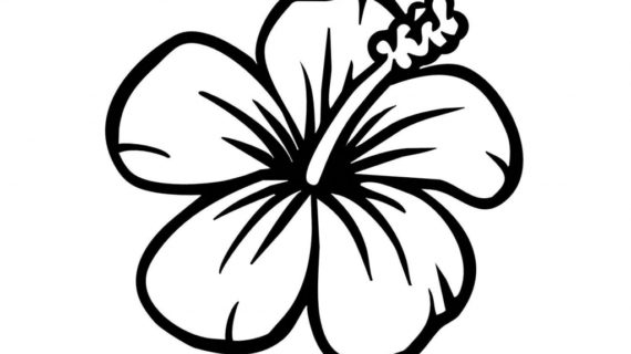 Hawaiian Flower Drawing at PaintingValley.com | Explore collection of ...