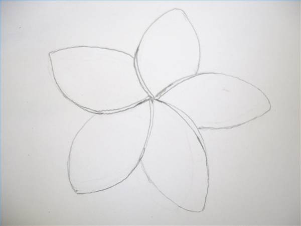 600x450 how to draw a hawaiian flower how to draw hawaiian flower drawings - Hawaiian Flower Drawing