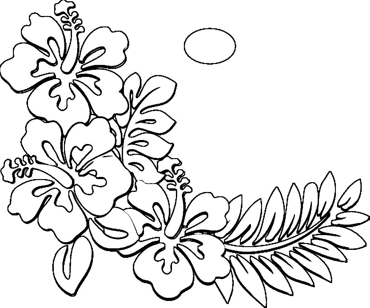 1203x1001 Huge Collection Of 'hawaii Flower Drawing' Download More Than - Hawaiian Flower Drawing