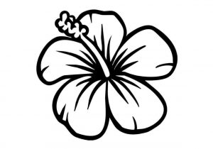 300x210 on hawaiian flowers - Hawaiian Flower Drawing