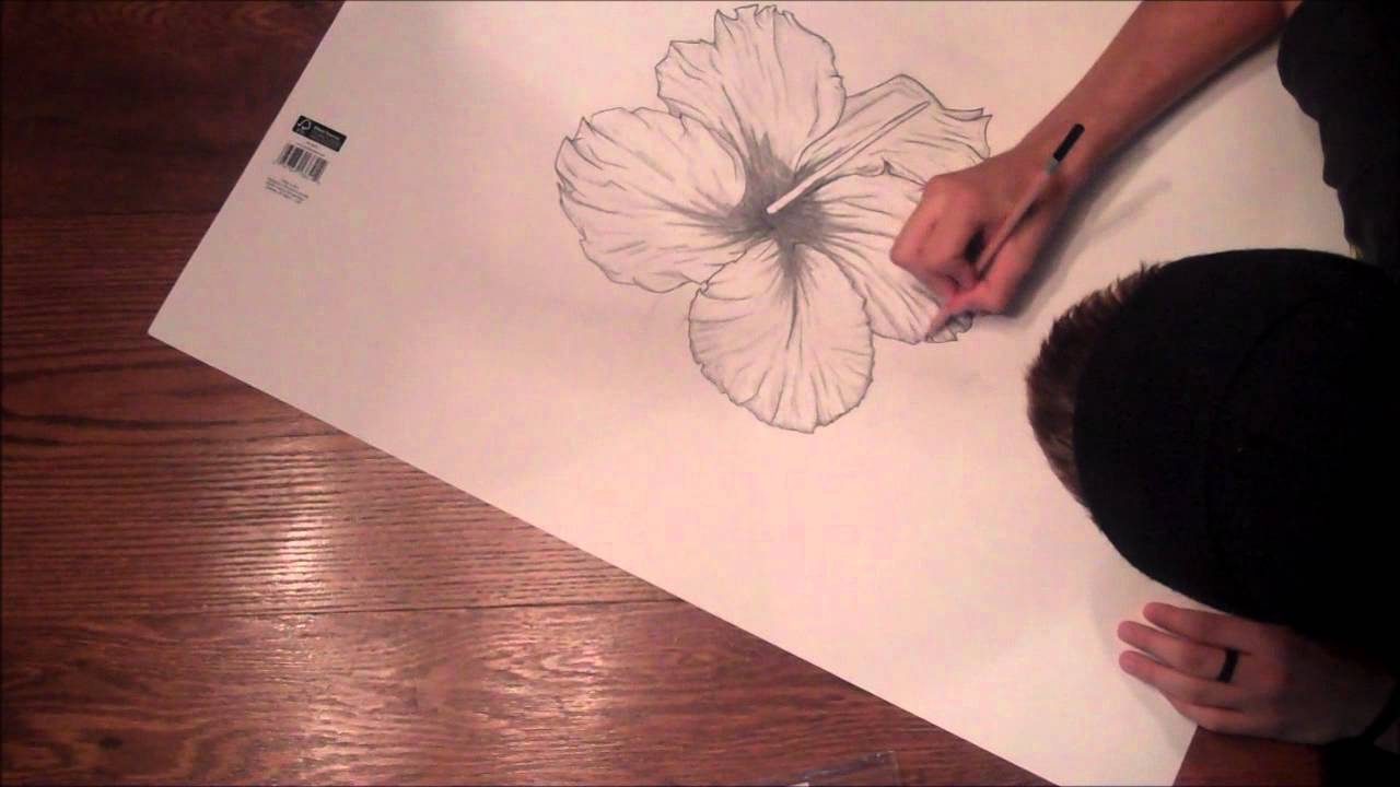 1280x720 The Hibiscus Flower A Drawing - Hawaiian Flower Drawing