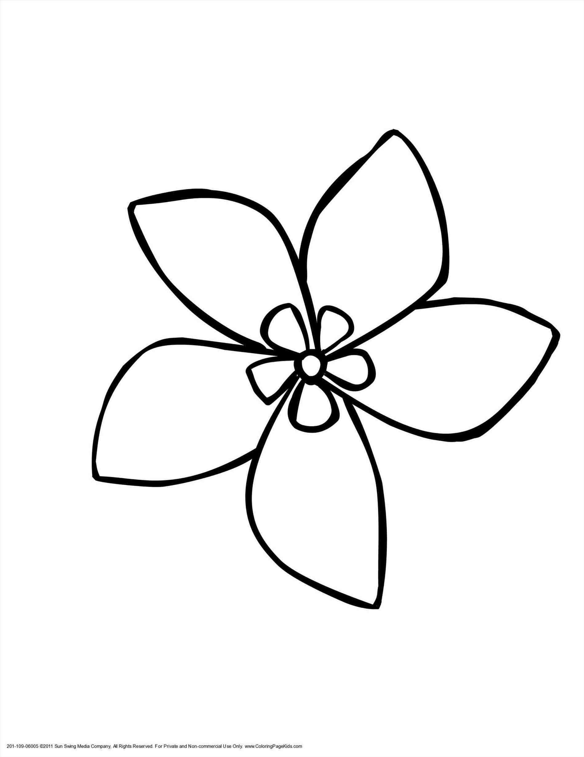 1899x2459 easy to draw hawaiian flowers hawaiian flower drawing - Hawaiian Flower Drawing