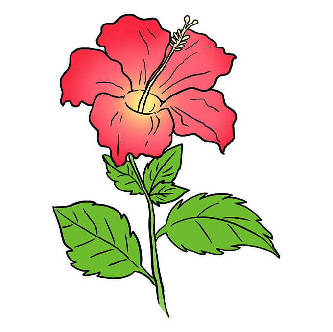 680x678 How To Draw A Hibiscus - Hawaiian Hibiscus Drawing