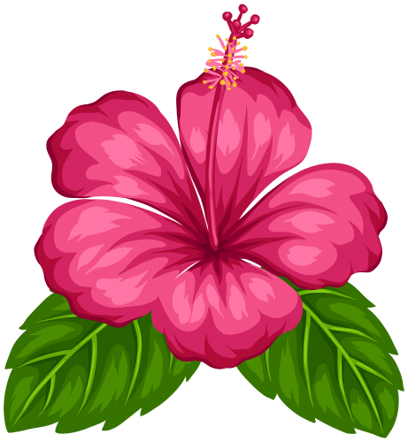461x500 Petal Drawing Hibiscus Transparent Png Clipart Free Download - Hawaiian Hibiscus Drawing