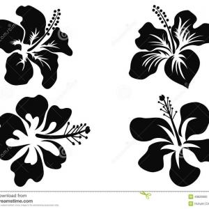 300x300 png hawaiian hibiscus hawaiian hibiscus drawing clip a sohadacouri - Hawaiian Hibiscus Drawing