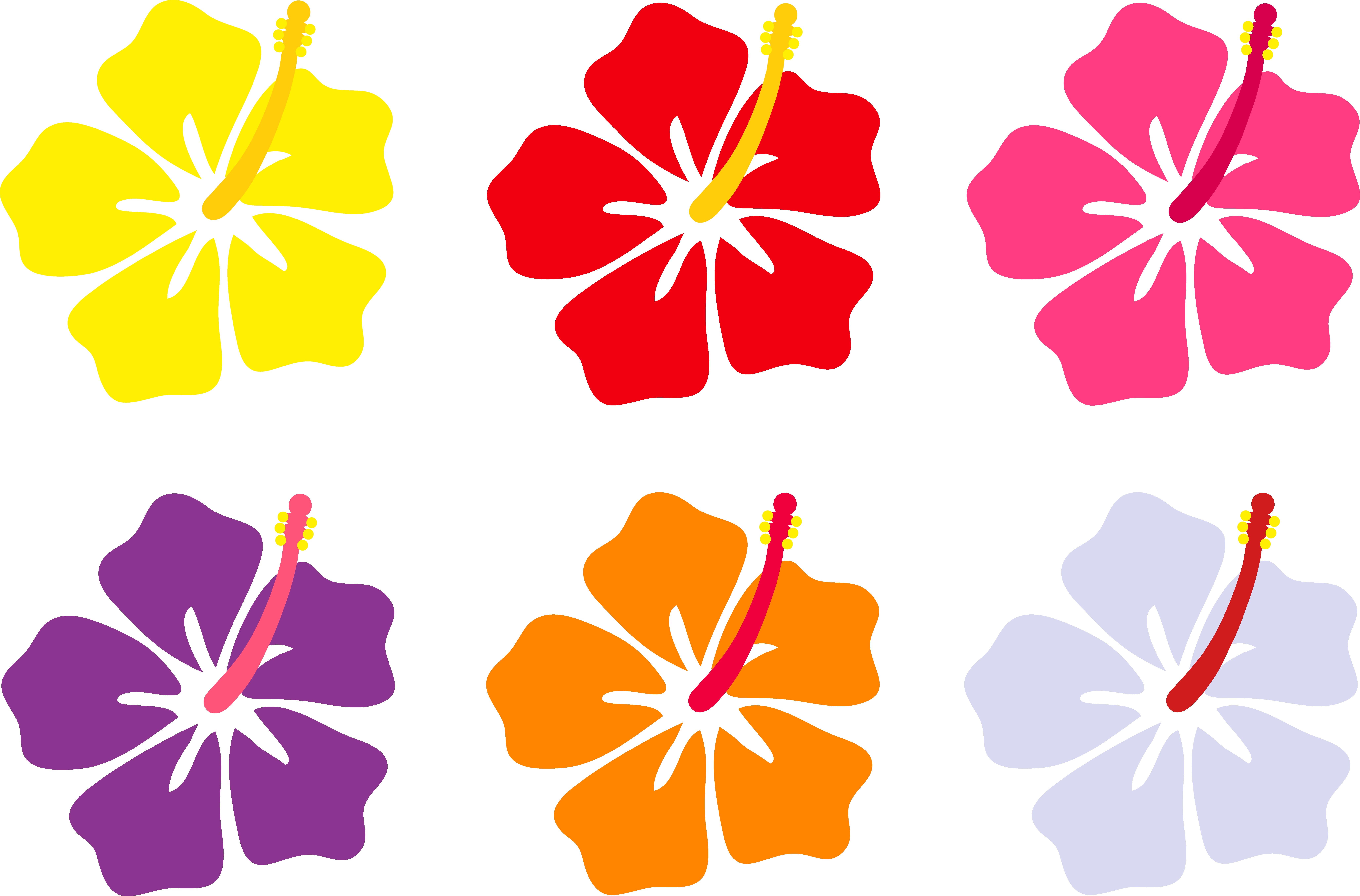 8230x5425 popular hawaiian flowers cartoon quickly flower black and white - Hawaiian Hibiscus Drawing