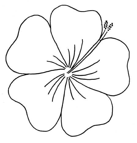448x466 hibiscus flower template hawaiian flower template best hibiscus - Hawaiian Hibiscus Drawing