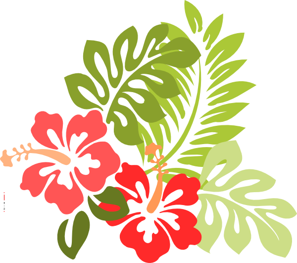 600x531 Hawaii Flower Drawing Pictures And Cliparts, Download Free - Hawaiian Hibiscus Drawing