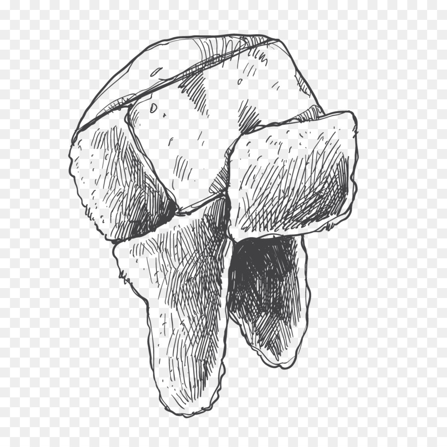 900x900 Huge Collection Of 'lei Drawing' Download More Than Images - Hawaiian Lei Drawing