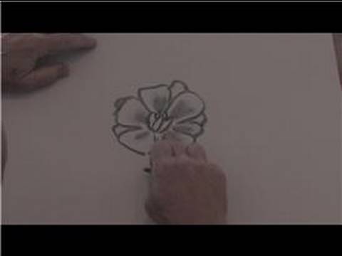 480x360 Drawing From Nature How To Draw A Hawaiian Flower - Hawaiian Lei Drawing