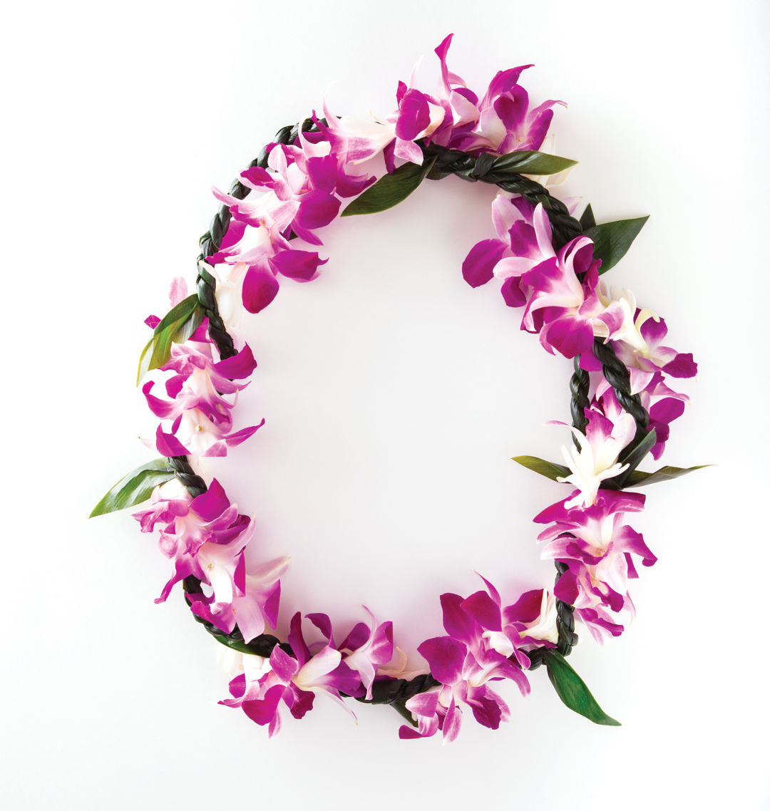 Hawaiian Lei Drawing at PaintingValley.com | Explore collection of ...