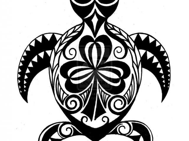 640x480 Drawn Sea Turtle Hawaii - Hawaiian Sea Turtle Drawing