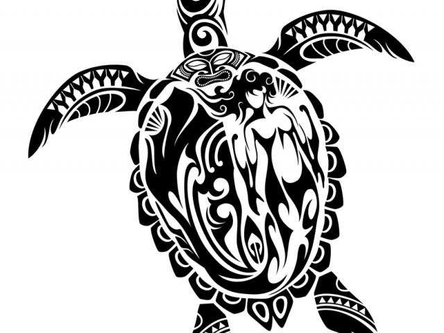 640x480 Drawn Sea Turtle Hawaii - Hawaiian Sea Turtle Drawing
