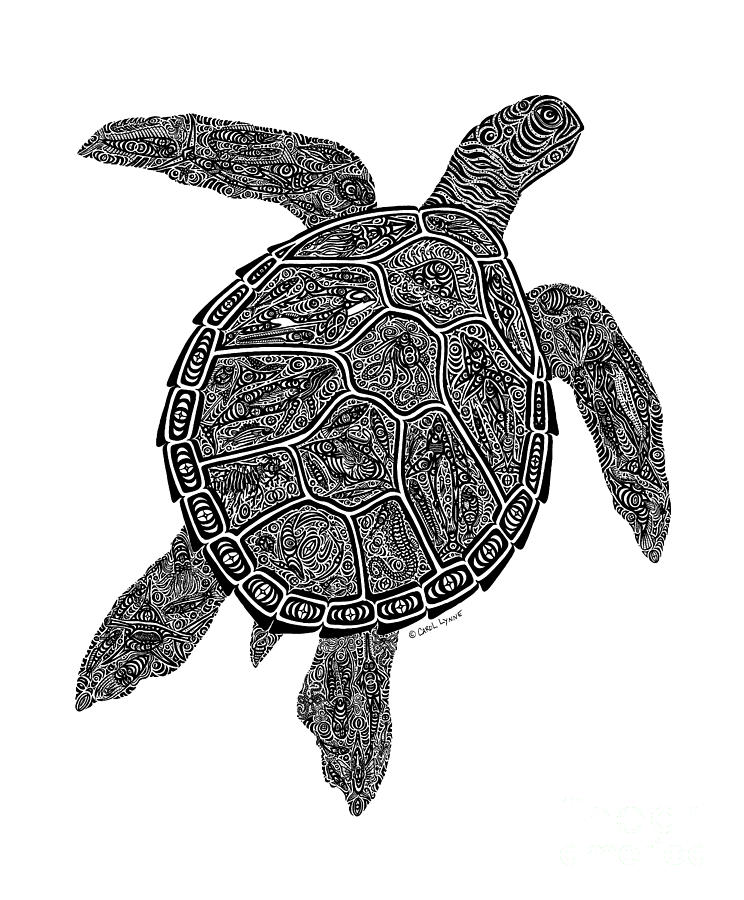 744x900 Tribal Turtle Iii Drawing - Hawaiian Sea Turtle Drawing