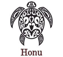 220x200 Hawaiian Sea Turtle Drawing - Hawaiian Sea Turtle Drawing