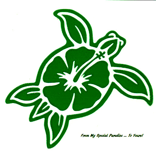 513x518 Hawaiian Sea Turtle Drawing - Hawaiian Turtle Drawing