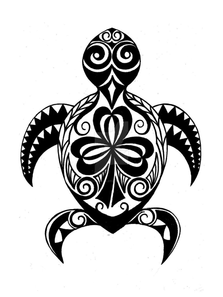 774x1032 Hawaiian Turtle - Hawaiian Turtle Drawing